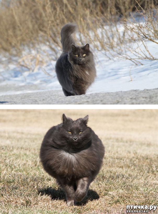 ���� 5: ��� �� ����� ���� ������?