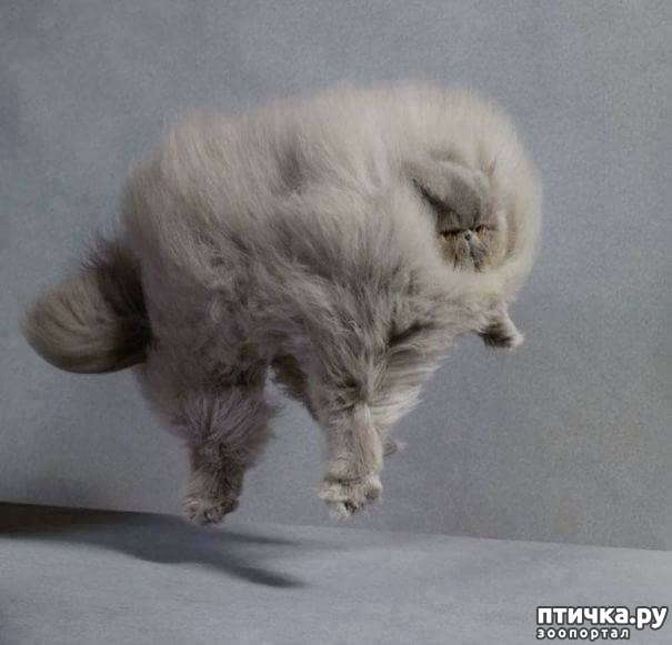 ���� 6: ��� �� ����� ���� ������?