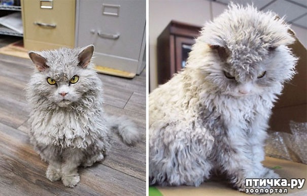 ���� 8: ��� �� ����� ���� ������?