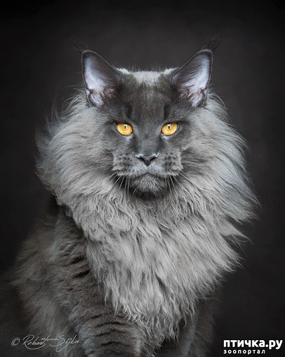 ���� 9: ��� �� ����� ���� ������?