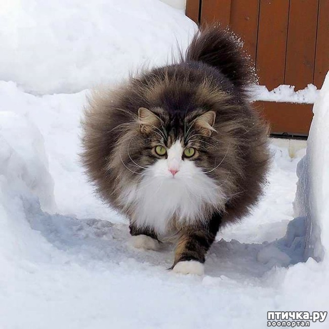 ���� 10: ��� �� ����� ���� ������?