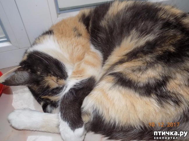 ���� 6: � �� ���� ����������...