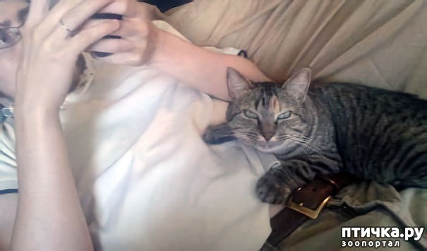 ���� 1: ������ ������