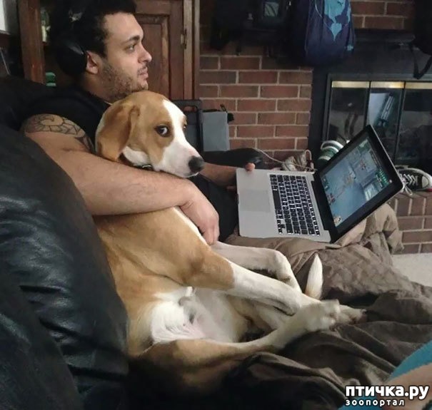 ���� 2: ������ ������