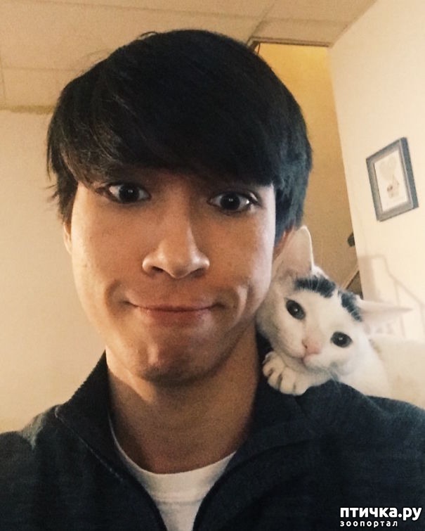 ���� 3: ������ ������