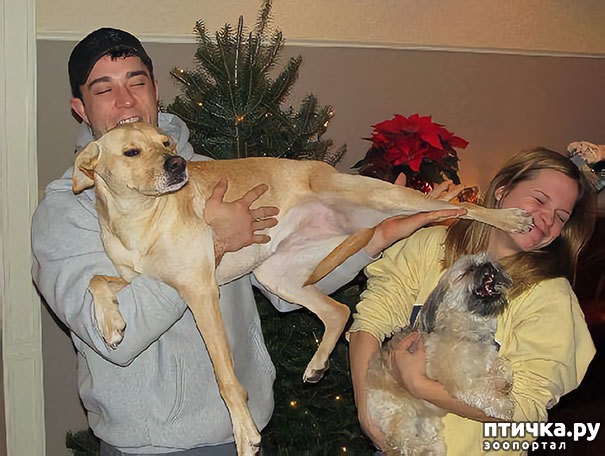 ���� 5: ������ ������