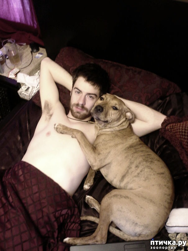 ���� 6: ������ ������