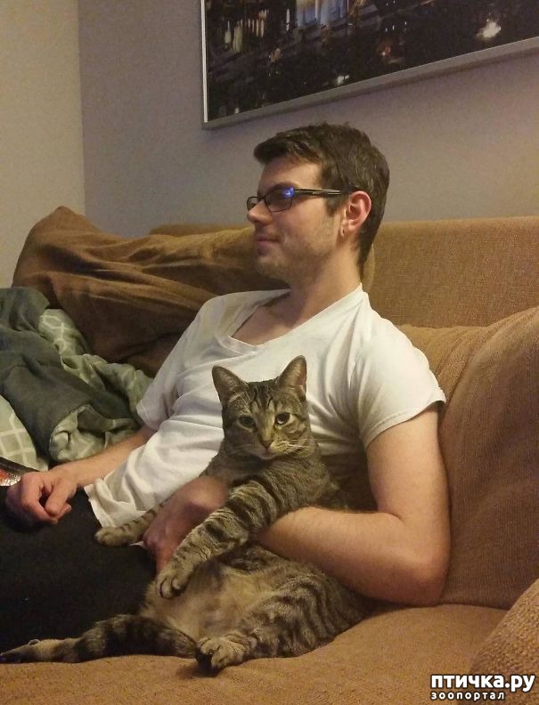 ���� 7: ������ ������