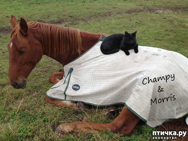 ���� 2: ��������� ������