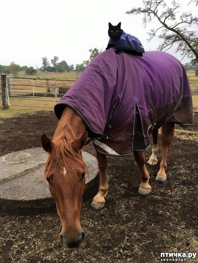 ���� 3: ��������� ������