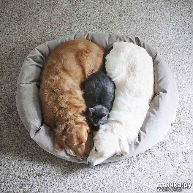 ���� 2: ��� ��������