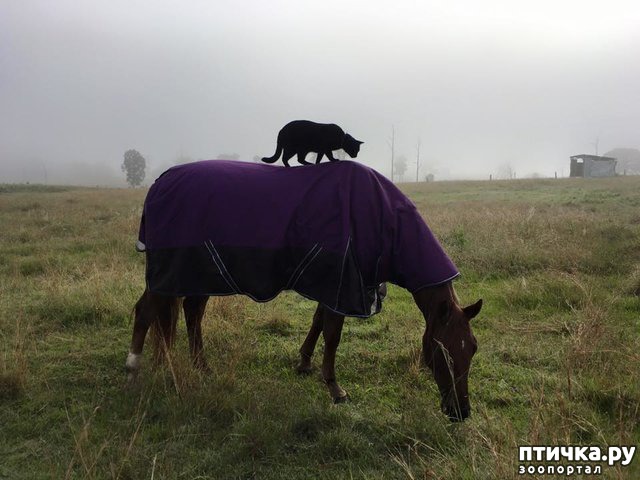 ���� 5: ��������� ������