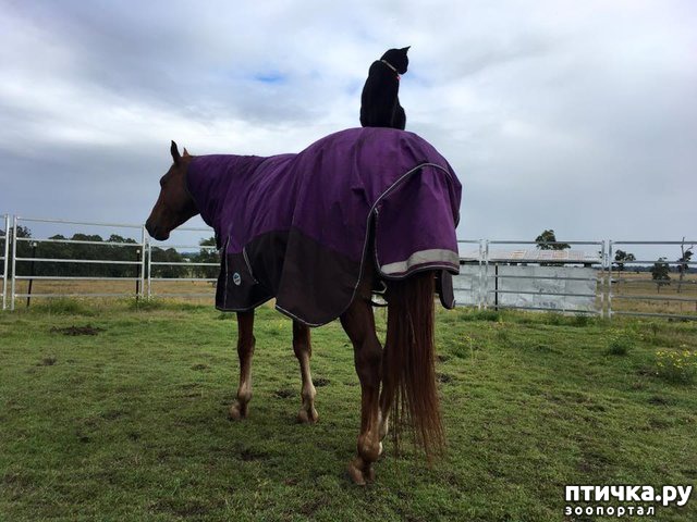 ���� 6: ��������� ������