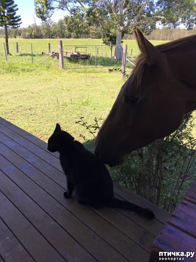 ���� 7: ��������� ������