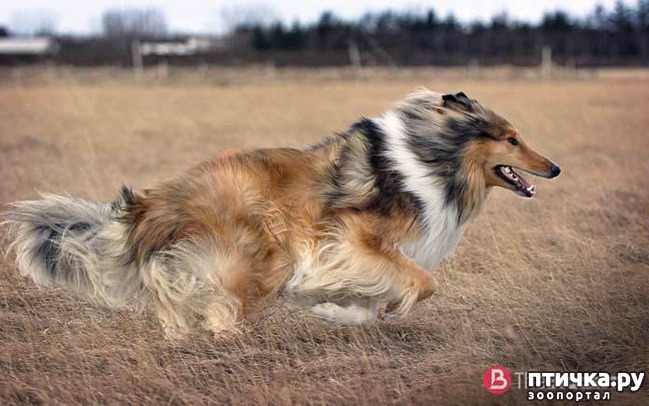 ���� 2: ��� ������ ����� ����������