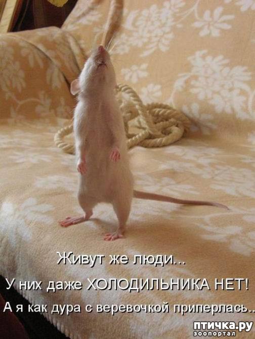 ���� 1: ������ ����� �� ����