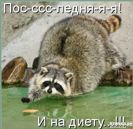 ���� 2: ������ ����� �� ����