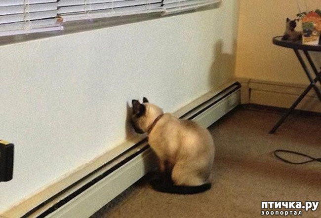 ���� 2: ������� ����? ���! ������ � ����������!