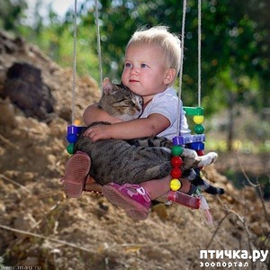 ����: ����� � ����