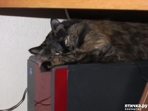 ���� 2: ���� ������ ���������� � �����