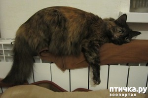 ����: ���� ������ ���������� � �����