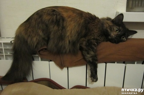 ���� 1: ���� ������ ���������� � �����