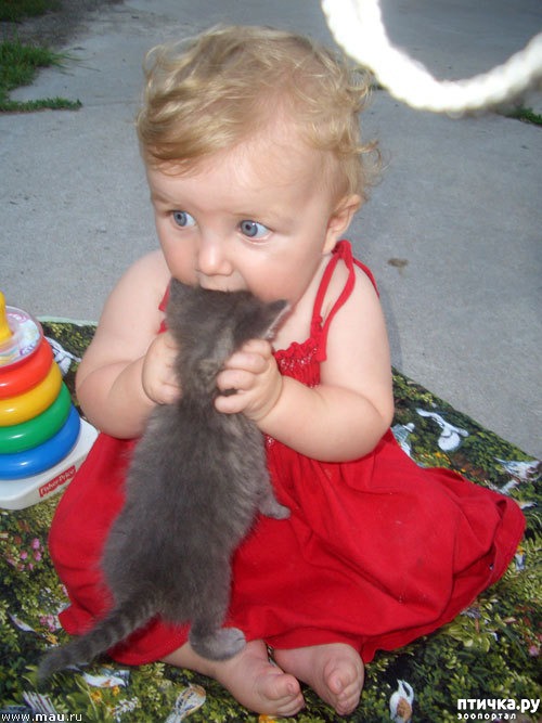 ���� 3: ����� � ����