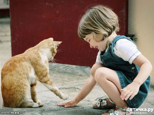 ���� 5: ����� � ����