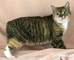 ���� 1: ����� �������� ����� ����� ���������