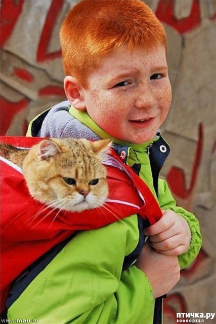 ���� 6: ����� � ����