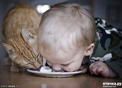 ���� 7: ����� � ����