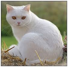 ���� 2: ����� �������� ����� ����� ���������