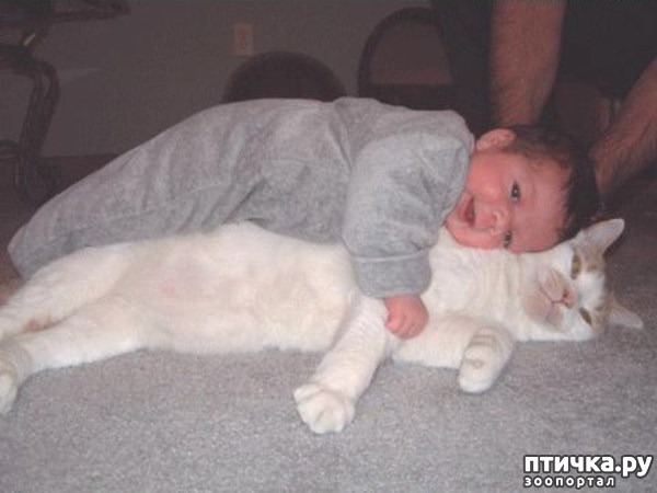 ���� 9: ����� � ����