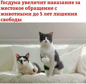 фотография: Ураа фото: Ураа