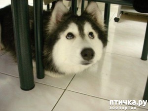 ����: ������ ����� �� ������ ����� ������� ���� ������