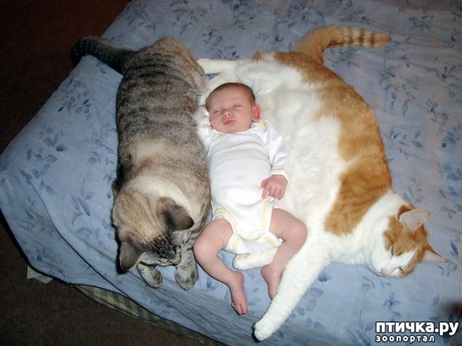 ���� 10: ����� � ����