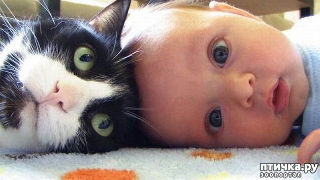 ���� 12: ����� � ����