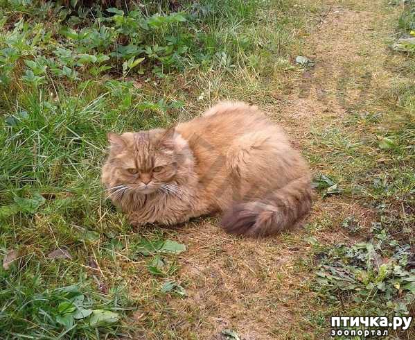 ���� 3: ���� ���� ������ (�. �������)