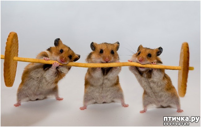 ���� 4: ���� ���� ������ (�. �������)