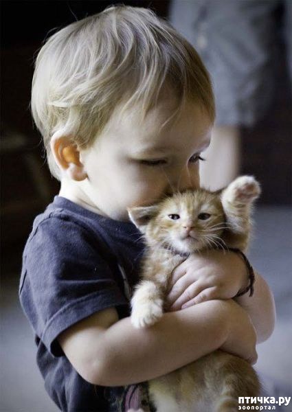 ���� 13: ����� � ����