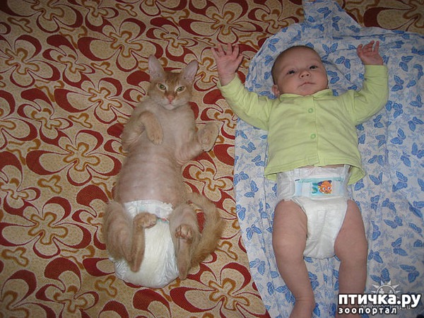 ���� 14: ����� � ����