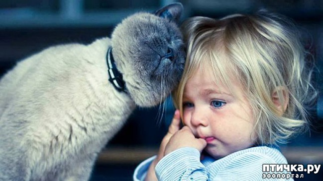 ���� 15: ����� � ����