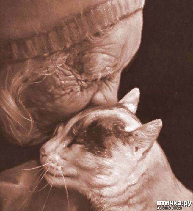 ���� 1: ����� � ��� � � ������