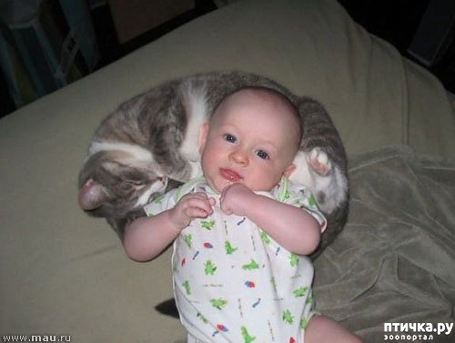 ���� 17: ����� � ����