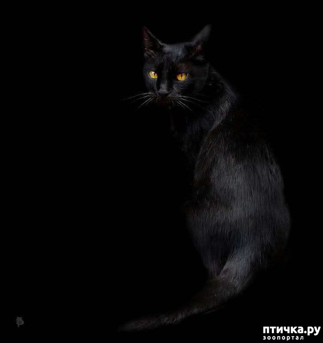 ���� 3: ����� � ��� � � ������