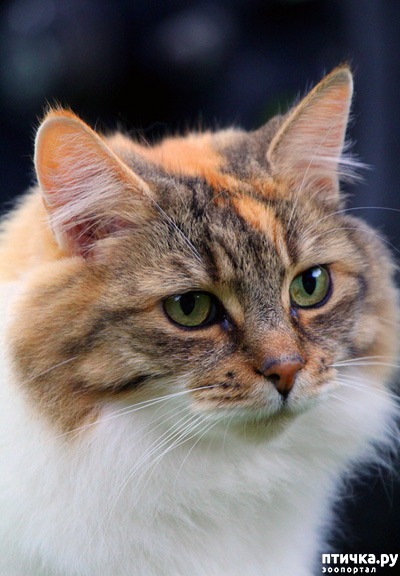 ���� 1: ����� - �����