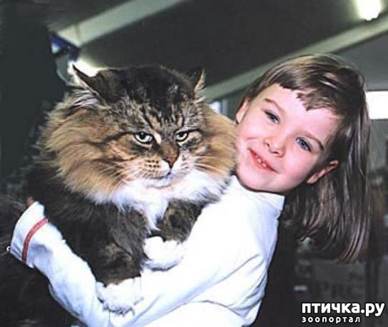 ���� 18: ����� � ����