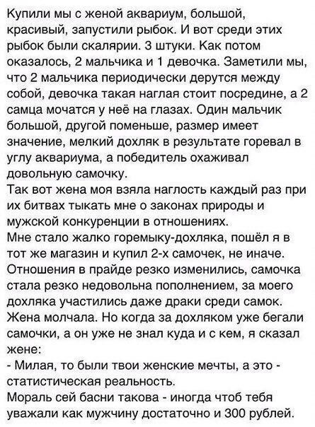 ���� 2: �������� �������