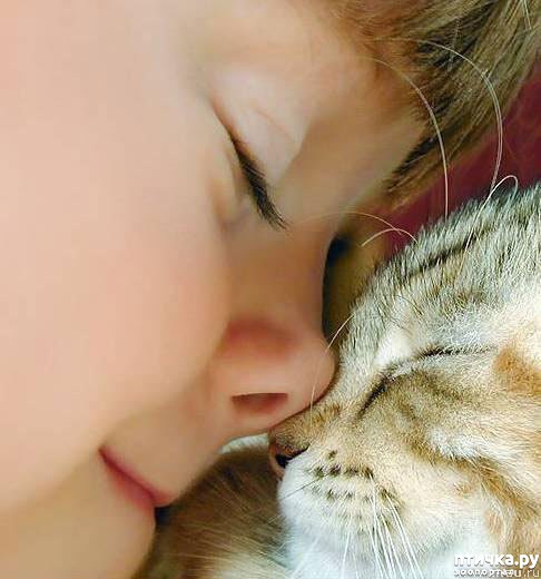 ���� 19: ����� � ����