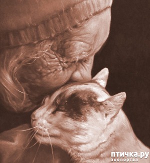 фотография: Стихи о нас и о кошках фото: Стихи о нас и о кошках